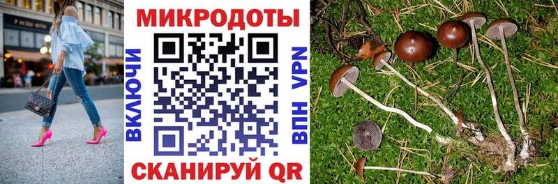 Галлюциногенные грибы мицелий  Мариинский Посад 