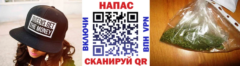 где можно купить   Мариинский Посад  Конопля сатива 